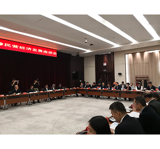 全國人大代表、方大集團(tuán)董事長熊建明參加檢察機(jī)關(guān)服務(wù)保障民營經(jīng)濟(jì)發(fā)展調(diào)研座談會(huì)